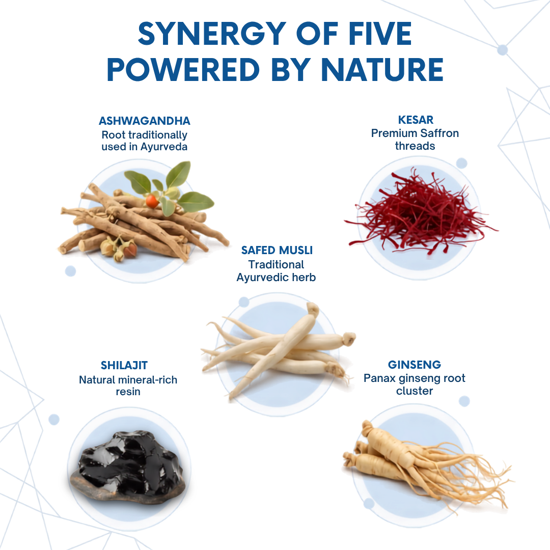 Stay-On Power Capsules - Daily Energy, Engineered for Professionals (30 Caps)